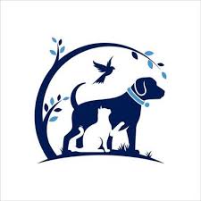 Account Avatar